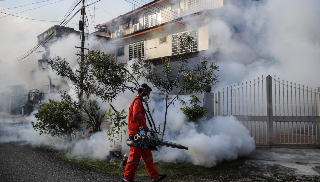 Roccafliuvione - Sospetto caso di dengue, il paese piceno è in allarme